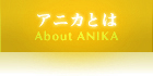 ˥Ȥ - About ANIKA