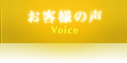 ͤ - Voice